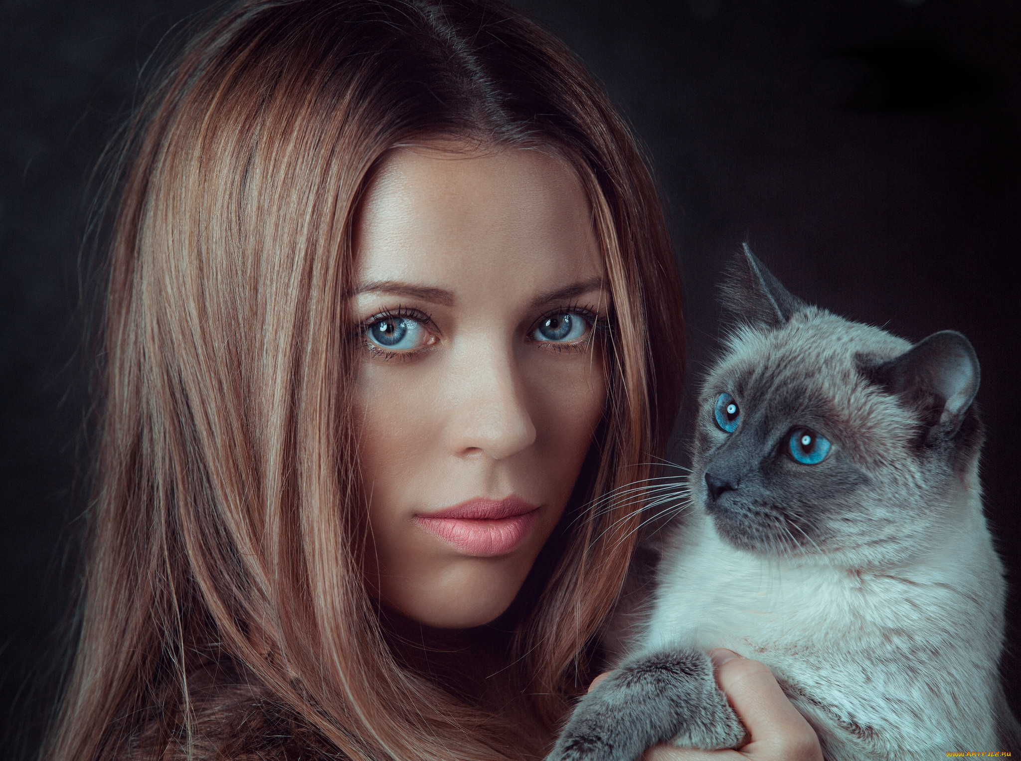 Lauren cat. Фотосессия с кошкой. Девушка кошка. Красивая девушка с котиком. Девушка с кошачьими глазами.